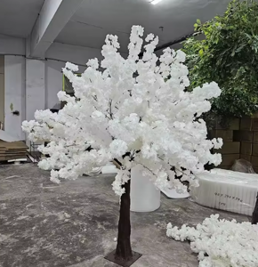 Cherry Blossom Tree